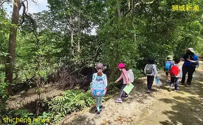 叢林探險、生存挑戰！新加坡戶外學校的6大假期營超級寶藏