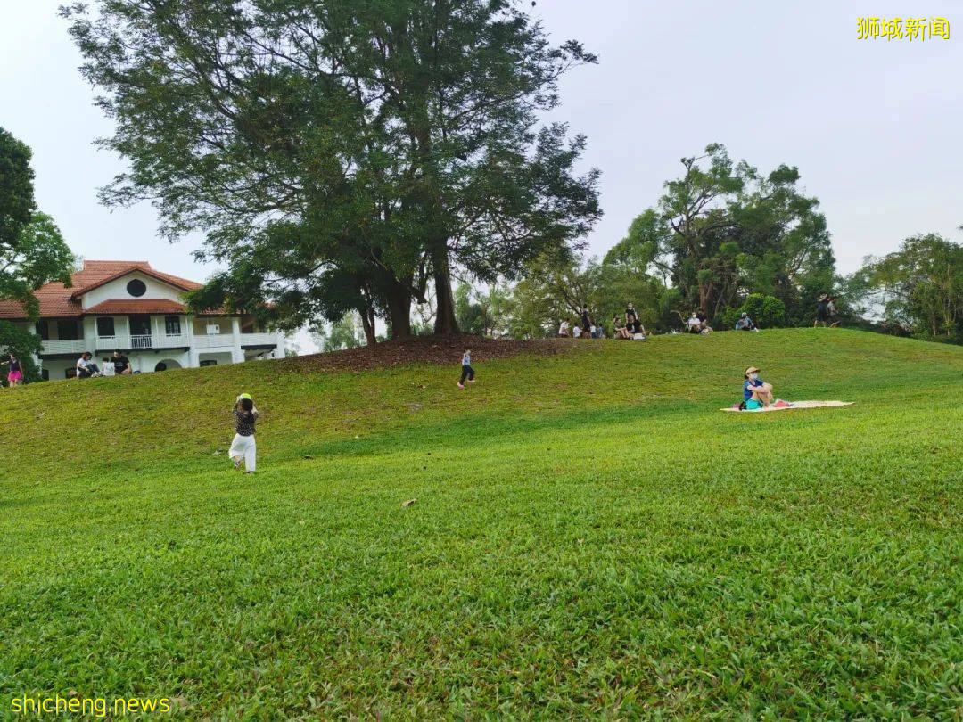 叢林遊樂場、自然博物館、山路徒步……新加坡這個公園翻新後更好玩啦