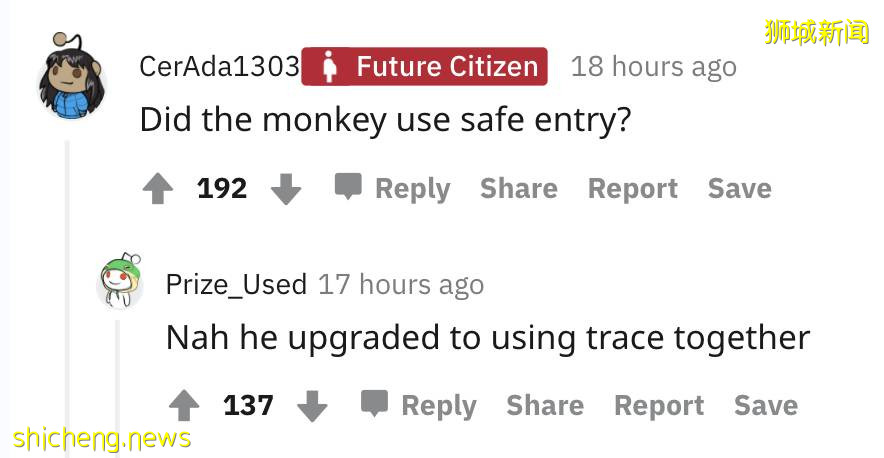 防火防盜防猴子，新加坡這家面包店慘遭猴子盜竊