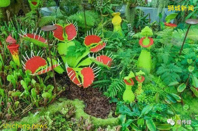 多味缤紛新加坡，旅遊攻略收藏貼