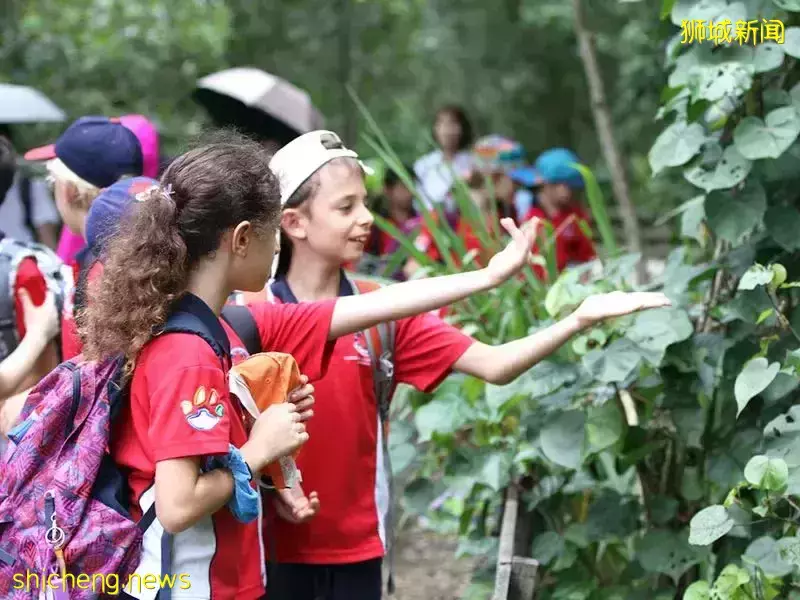 盘点新加坡的“奇葩”教育政策