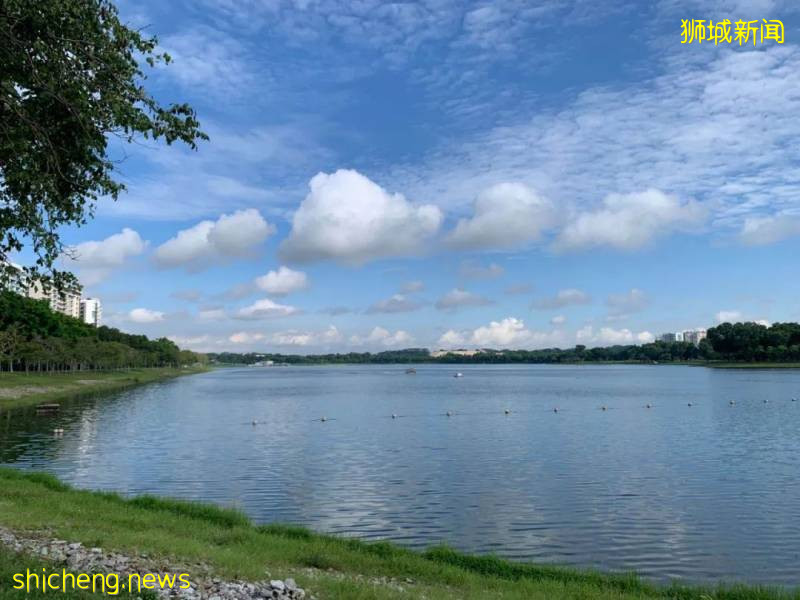 今天給新加坡的封條們,剪個彩吧!