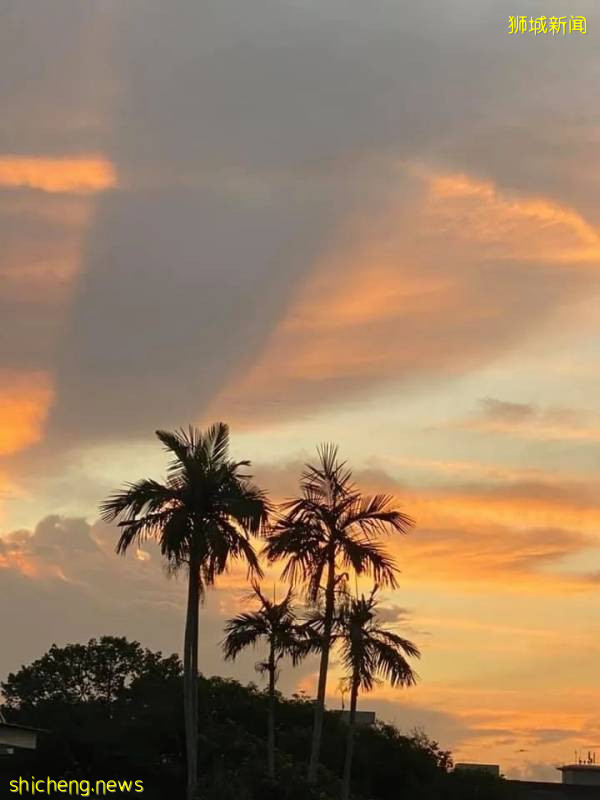 今早,新加坡出现美丽的曙光和彩虹