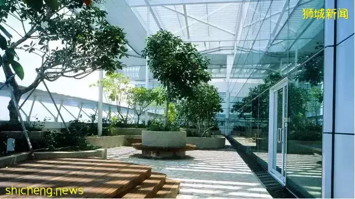 这些特色图书馆都你去过吗？新加坡百万藏书等你免费借