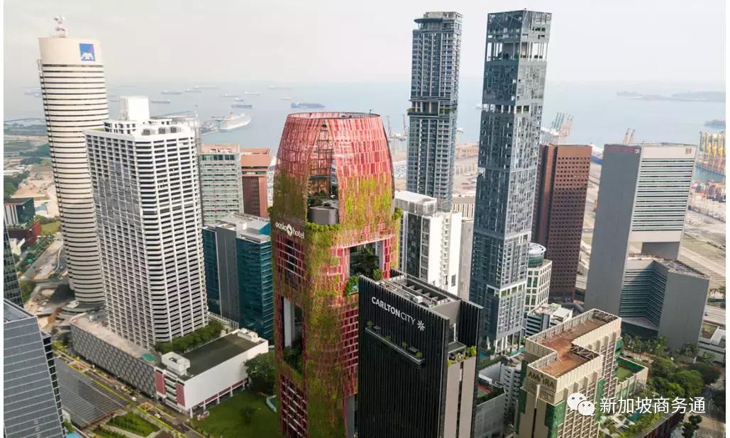 新加坡富豪生態區都在哪裏