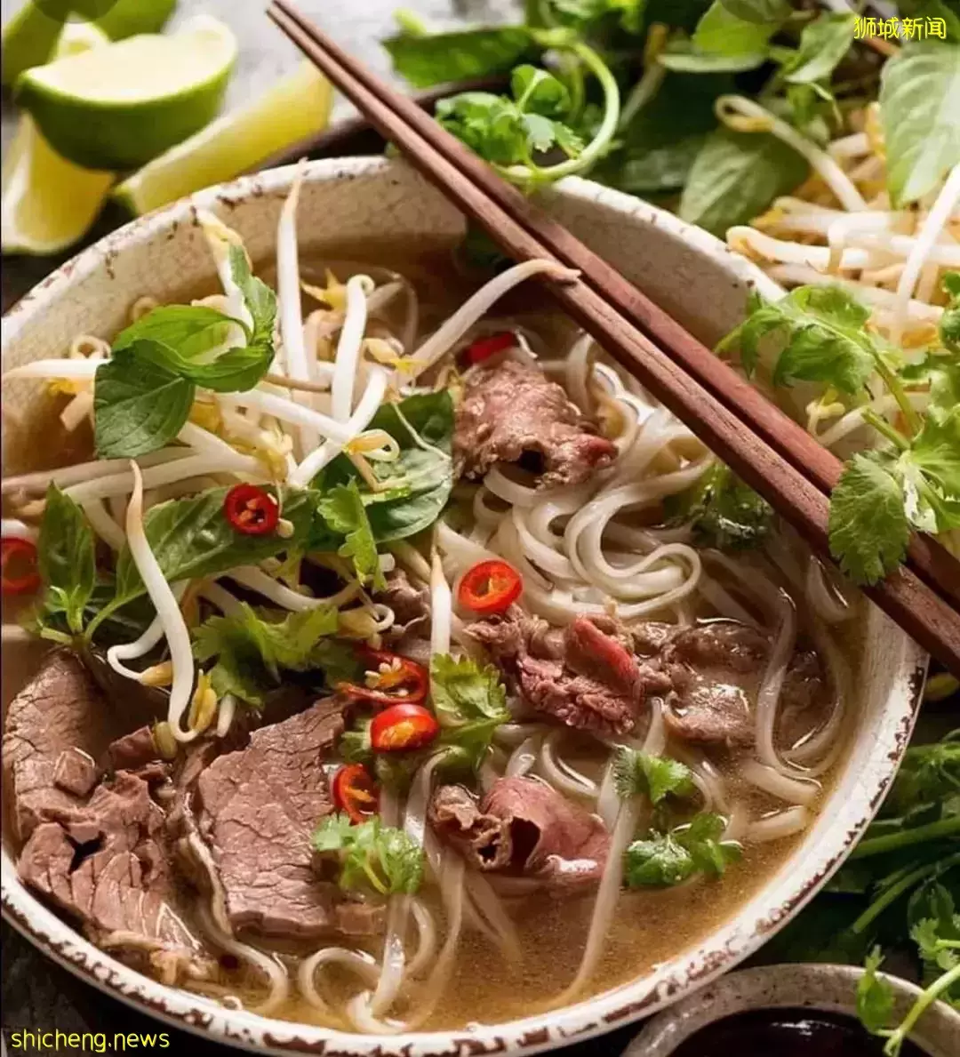 超新奇体验!新加坡有家越南餐馆可以和小马驹做朋友哦