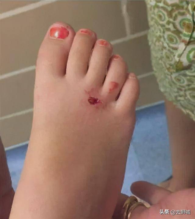 世界著名的新加坡“黑帮”败了,赢的是一群熊孩子