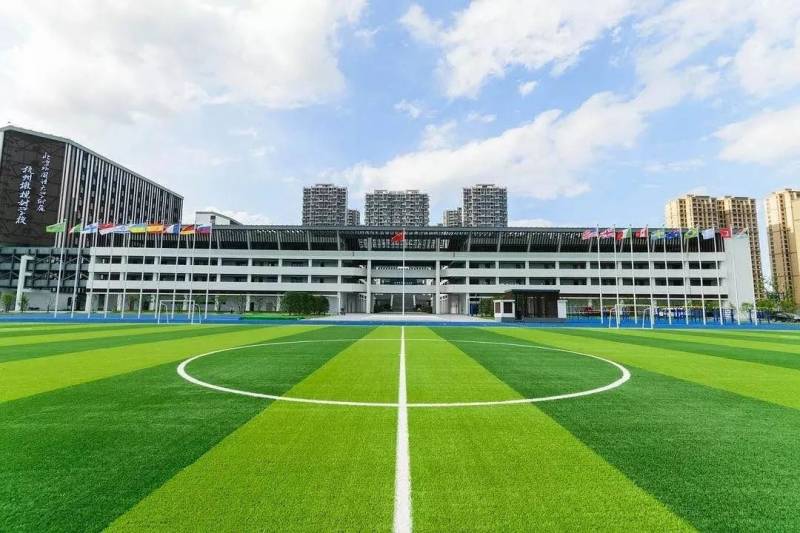 90%的新加坡政府中小学体育设施已向公众开放！倡导全民运动，新加坡首先让孩子们动起来