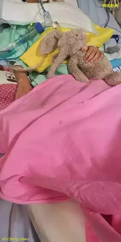 女童车祸抛飞 姑丈 奥迪司机 遭索赔25万