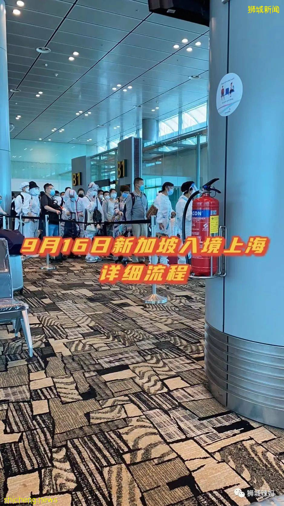 最近回国的朋友看过来!从新加坡飞上海全程直播