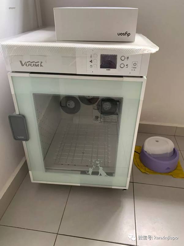 遭HDB人员登门盘查被告知,新加坡组屋不能养猫!这些“毛小孩”也不能出现