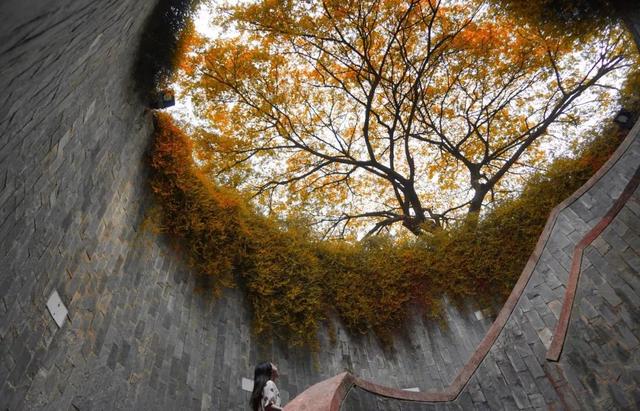 新加坡旅行|6天5晚奇遇狮城的日与夜