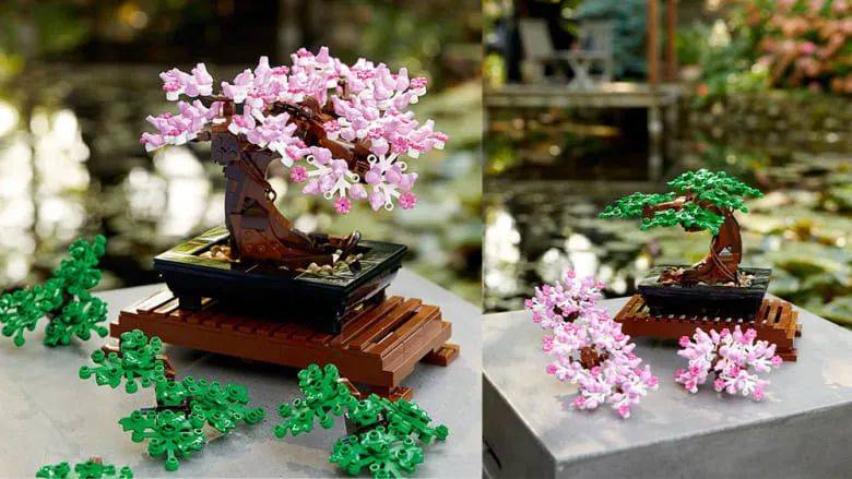 永不凋謝的花，你值得擁有