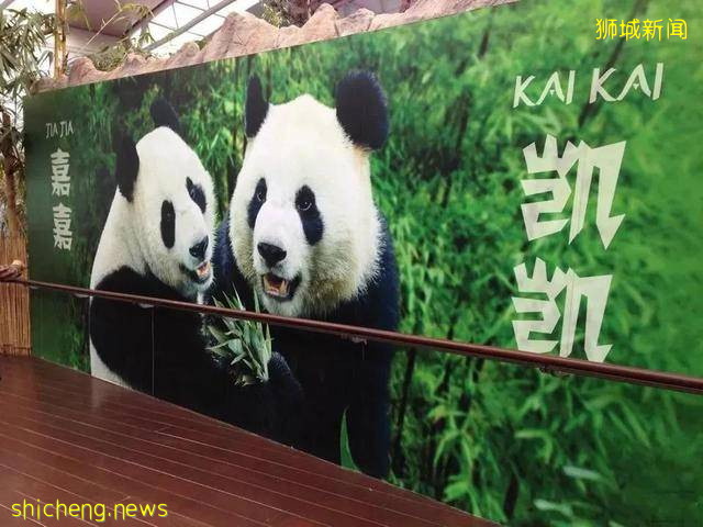 超超超超超甜,这也太好磕了吧