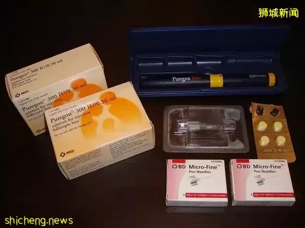 新加坡允许未婚女性做冻卵! 附费用和流程指南