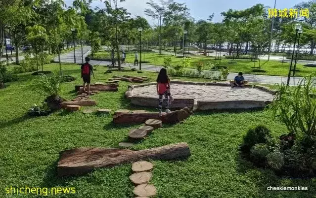 新加坡鼓励低碳出行又出新招啦