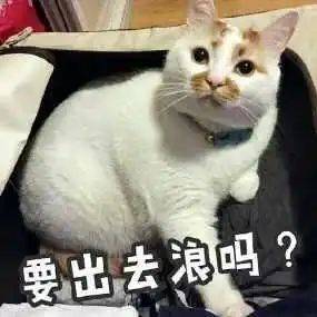 周末想出去放风？新加坡最佳日出日落观赏地已经为你整理好