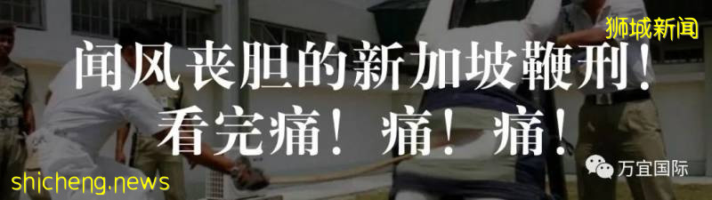 “港獨”組團“出逃”新加坡