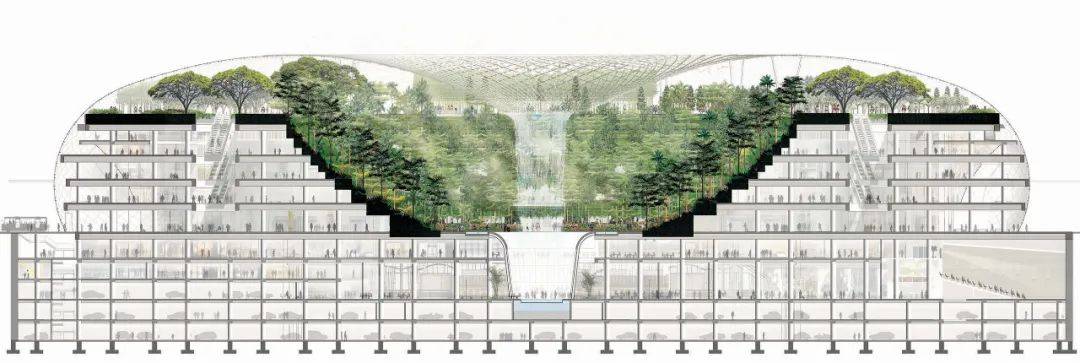 新加坡樟宜機場全方位解讀