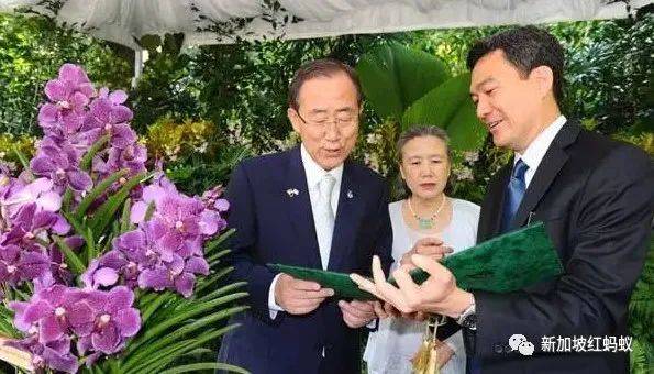 中國有桌球外交，新加坡有胡姬花外交，藏著許多鮮爲人知的有趣故事