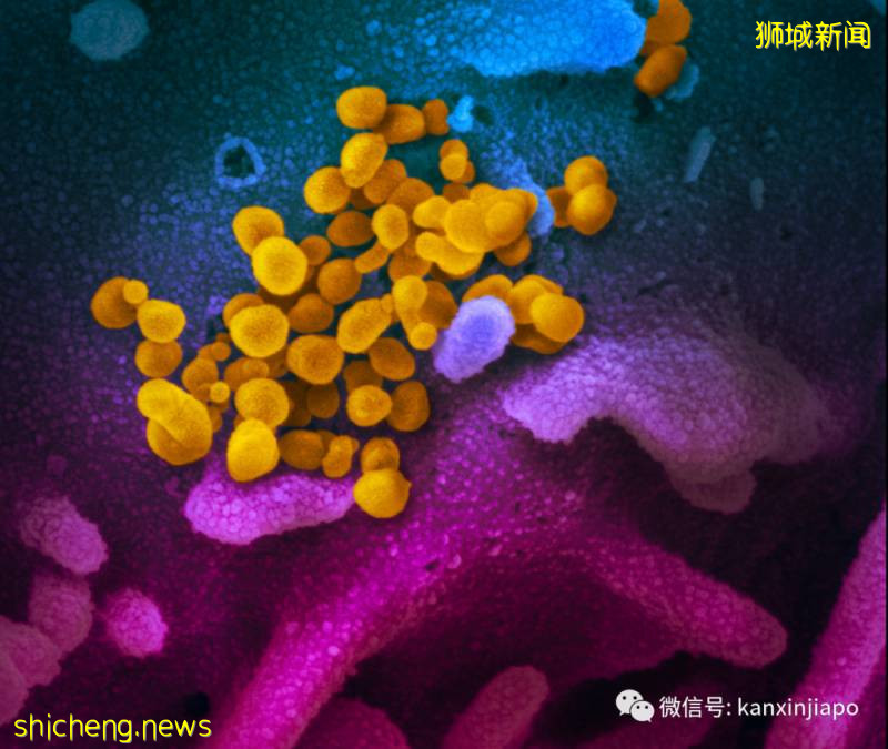 李显龙警告:神秘“X疾病”随时来袭,比冠病更致命、更易传染