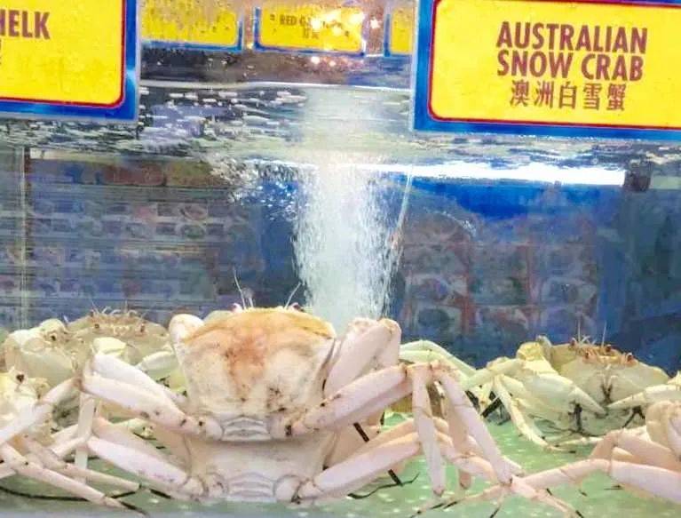 新加坡国宴御厨推出米其林级别年夜饭,价格$29.8起限量预订