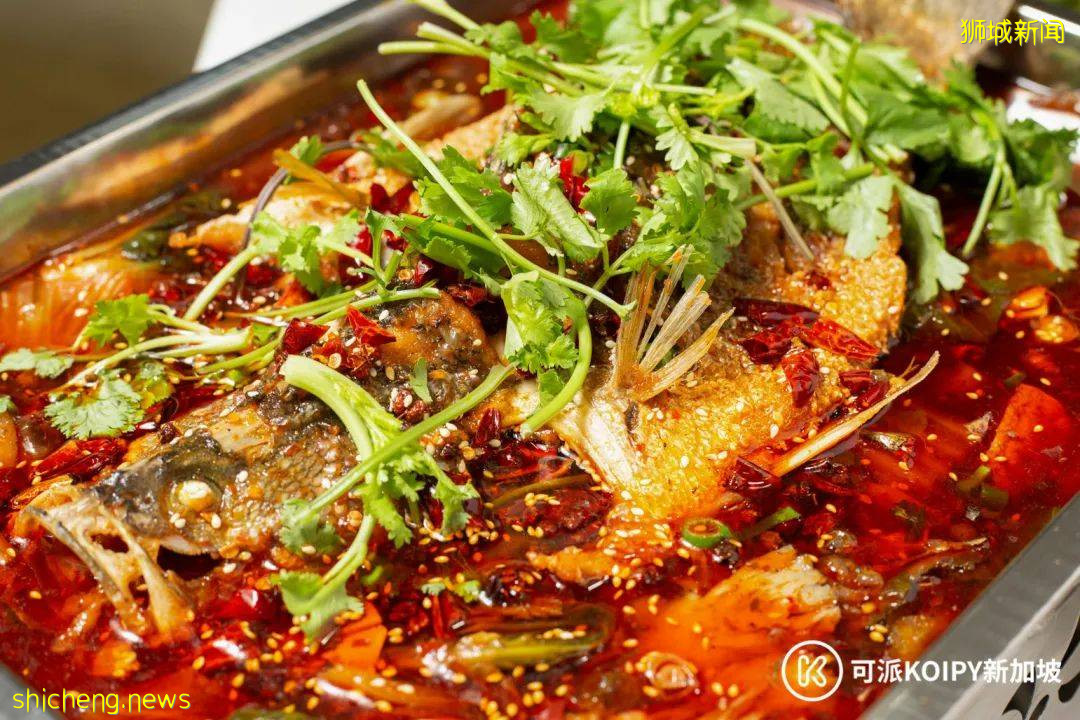 维也纳自助餐新开分店,锦鲤自助火锅火爆上线