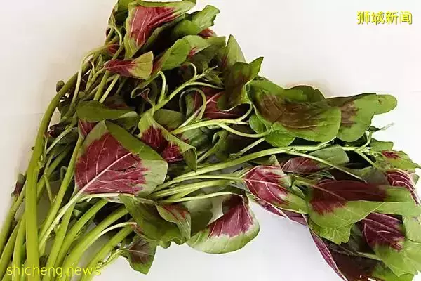 新加坡消费者遭殃,物价猛烈上涨,只因为俄乌战争