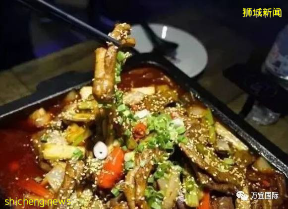 火爆獅城！麻辣香鍋、小火鍋、田雞鍋...這些鍋，你吃過幾個