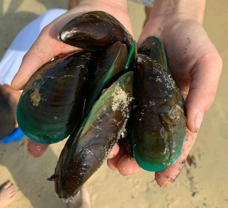 新加坡遛娃指南