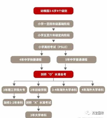 真實的新加坡政府中小學教育！中國家長們有點不敢相信