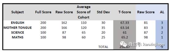 新加坡小六會考PSLE 計分新規,真的是換湯不換藥嗎