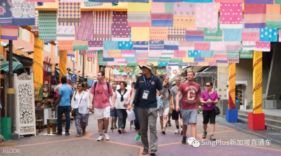 十條最佳新加坡遊覽路線,用券後統統低于60新!一般人我不告訴他
