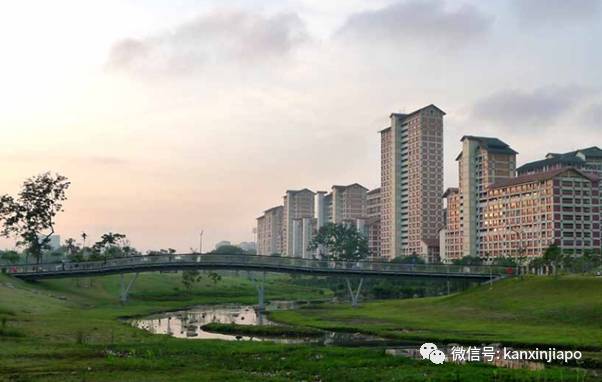 晴天大草原,暴雨成黄河!一场豪雨秒懂新加坡排水系统