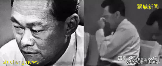 新加坡這個國家好麽!