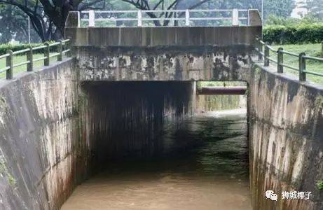 今天,新加坡被大暴雨淹沒了!