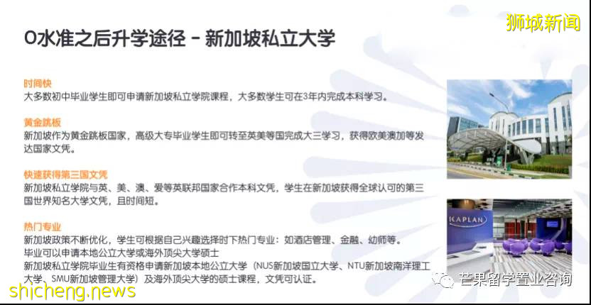 新加坡 “O” 水准！最全課程彙總