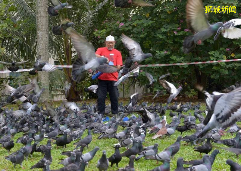 我要报警!新加坡的野猴冲进超市抢面包,惊呆路人