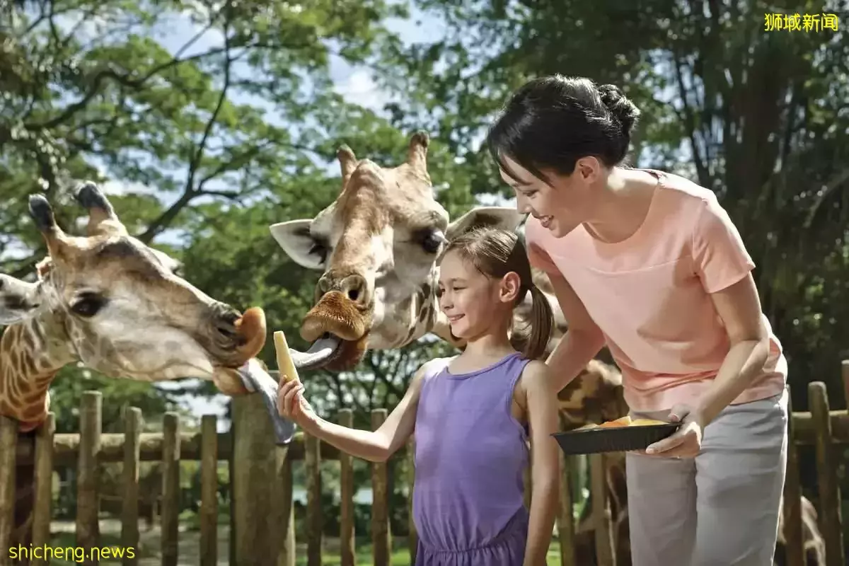 新加坡自由行:三天玩轉新加坡特色景點推薦