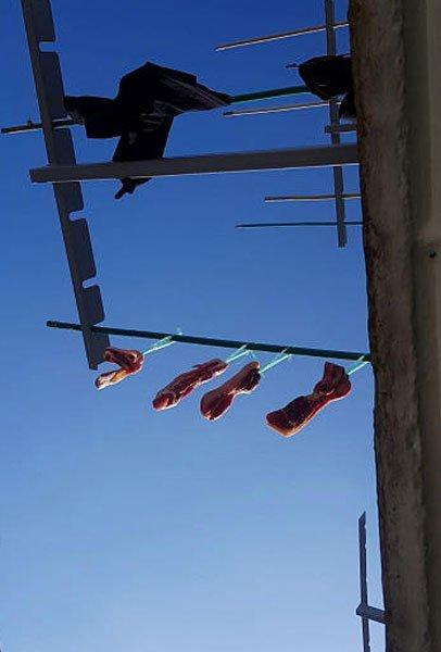 别人晒衣‧他晒腊肉 阵阵恶臭 邻居受不了