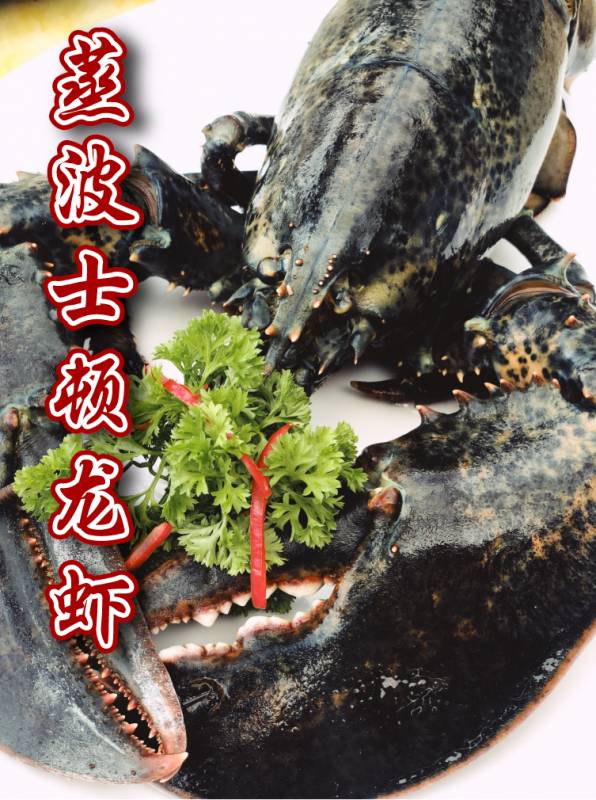 波士頓龍蝦免費吃!新加坡這家人均不過30的海鮮店又要逆天了