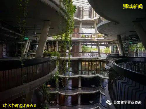 南洋理工大学开设全中文授课、无英语成绩要求的硕士项目,你心动吗
