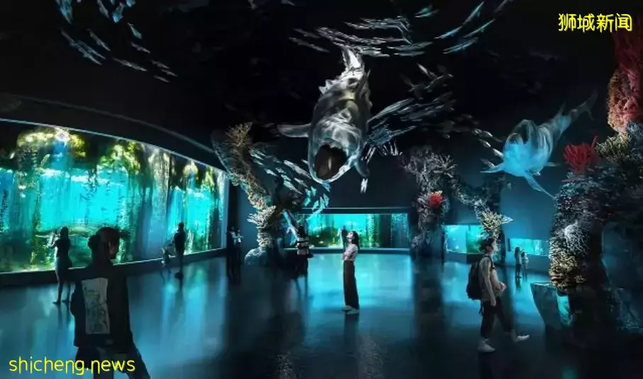 亚洲首个可“滑雪”滑水滑板场馆登陆新加坡!S.E.A海洋馆又迎全面升级