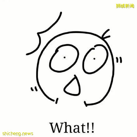 巴厘岛紧急取消开放计划！新加坡却允许到新西兰、文莱旅游