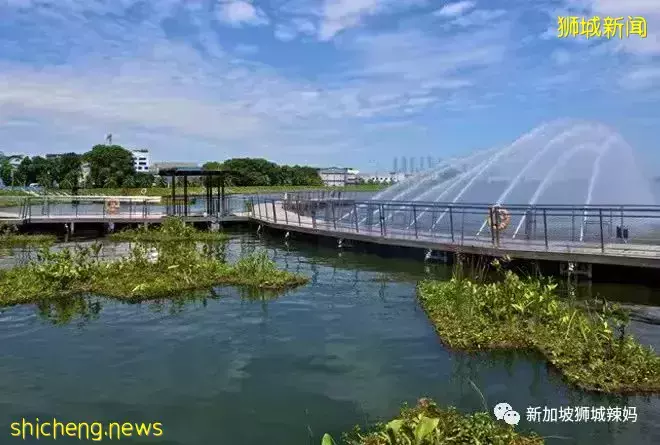 免費！新加坡最適合娃的公園，蝴蝶迷宮、沙灘小灣、瀑布、滑梯秋千