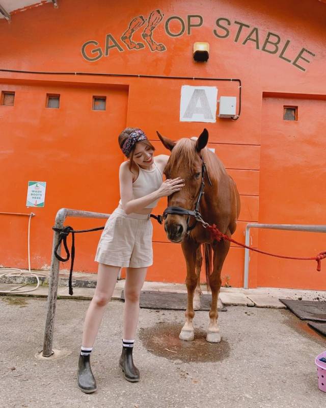 周末新玩法！新加坡騎馬好去處Gallop Stable🐎 一站式體驗活動！走進動物世界騎馬餵小兔🐰🐎