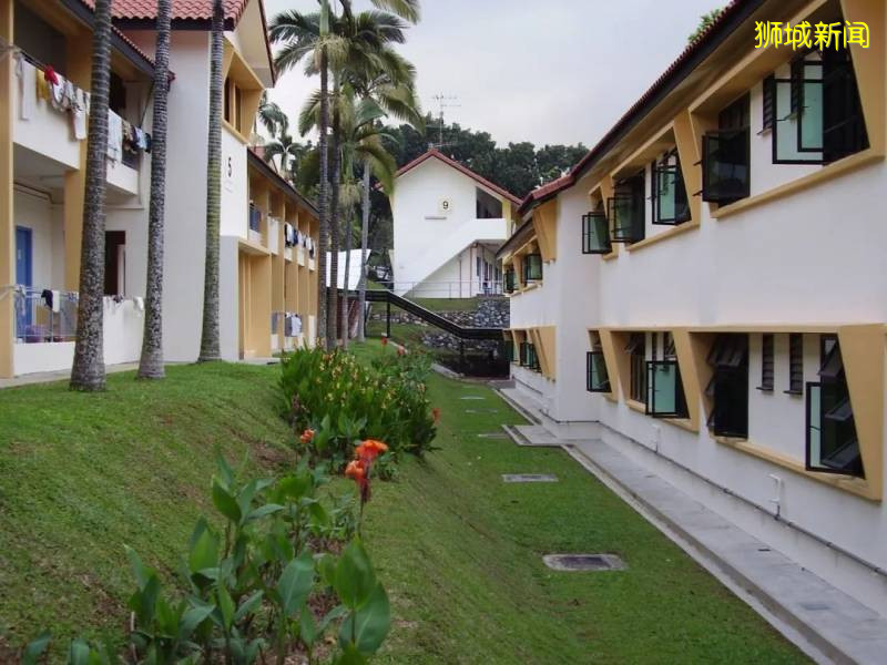 全文幹貨!疫情期間留學生入境新加坡攻略