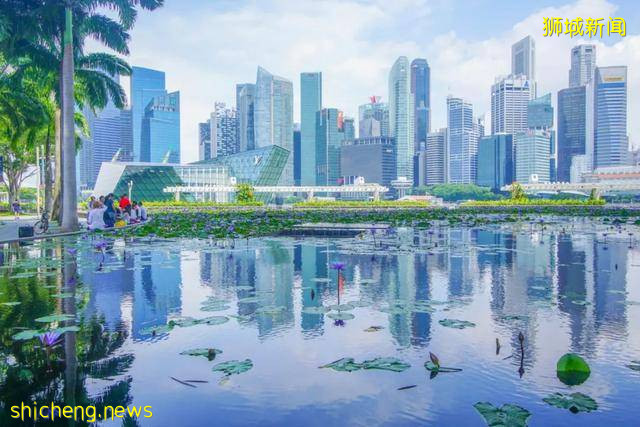 孩子什么时候去新加坡读书最好呢