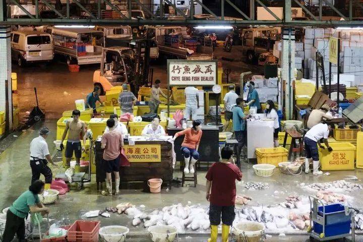 【鸟瞰新加坡】来新加坡必须要尝试的10件事 之 文化篇