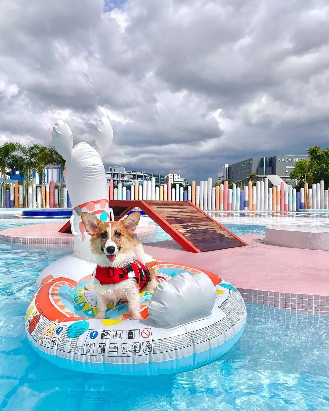 新加坡1月必看!这12个活动走起,炫彩霓虹、水獭快闪、最大狗狗水上乐园